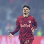 Alajbegovic