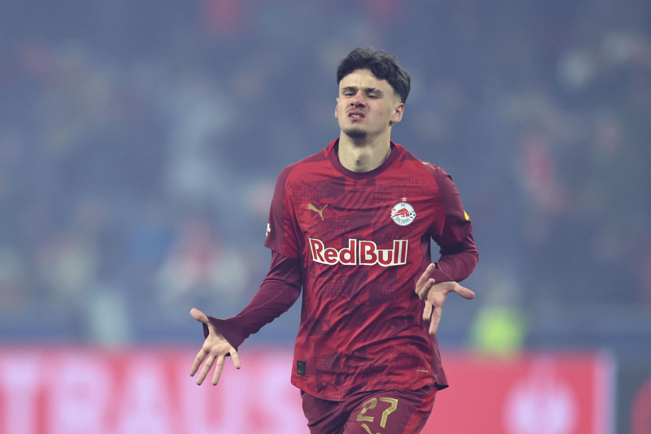 Alajbegovic